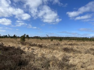 Bewustwording door natuur